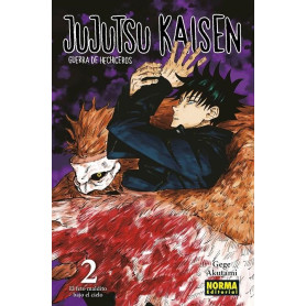 NORMA JUJUTSU KAISEN 2