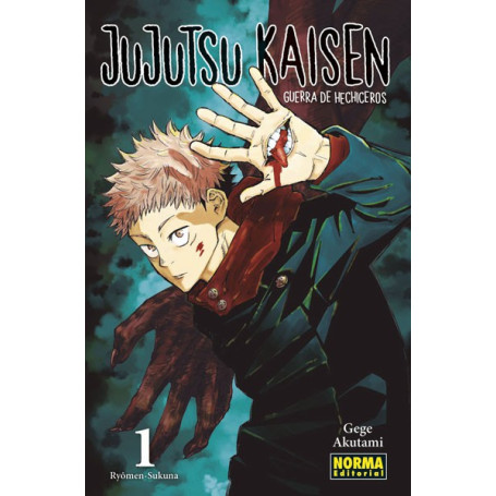 NORMA JUJUTSU KAISEN 1