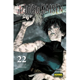 NORMA JUJUTSU KAISEN 22