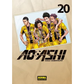 NORMA AO ASHI 20