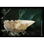 REPLICA COPA DE CRISTAL HARRY POTTER