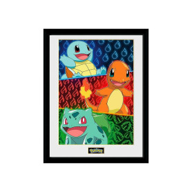 POSTER INICIALES POKEMON