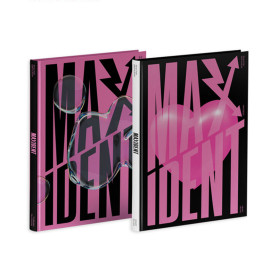 DISCO STRAY KIDS MAXIDENT