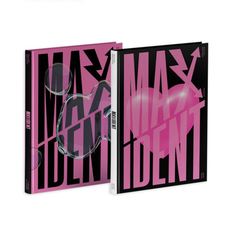 DISCO STRAY KIDS MAXIDENT