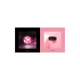 DISCO BLACKPINK SQUARE UP