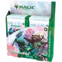 MTG COLLECTOR BOOSTER DISPLAY BLOOMBURROW