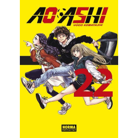 NORMA AO ASHI 22