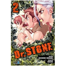 IVREA DR STONE 2