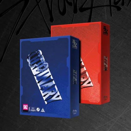 DISCO STRAY KIDS ODDINARY