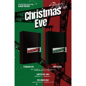 DISCO STRAY KIDS CHRISTMAS EVEL