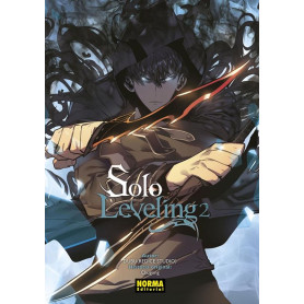 NORMA SOLO LEVELING 2