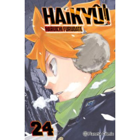 PLANETA HAIKYU 24