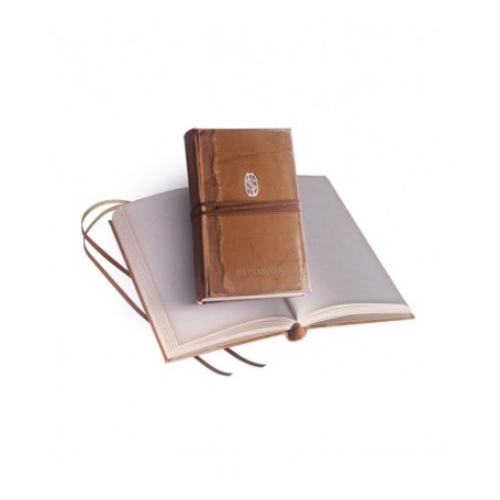 REPLICA DIARIO NEWT SCAMANDER