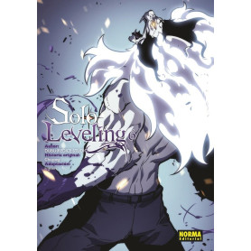NORMA SOLO LEVELING 6